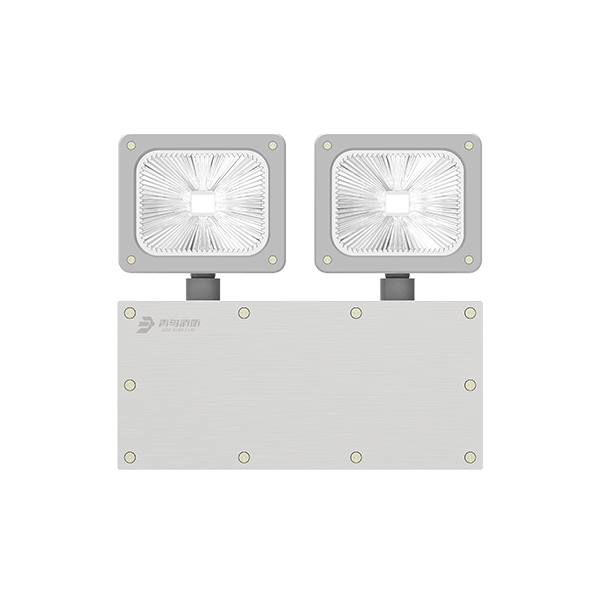 集中电源集中控制型消防应急照明灯具