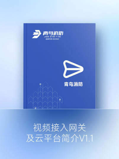 视频接入网关及云平台简介V1.1